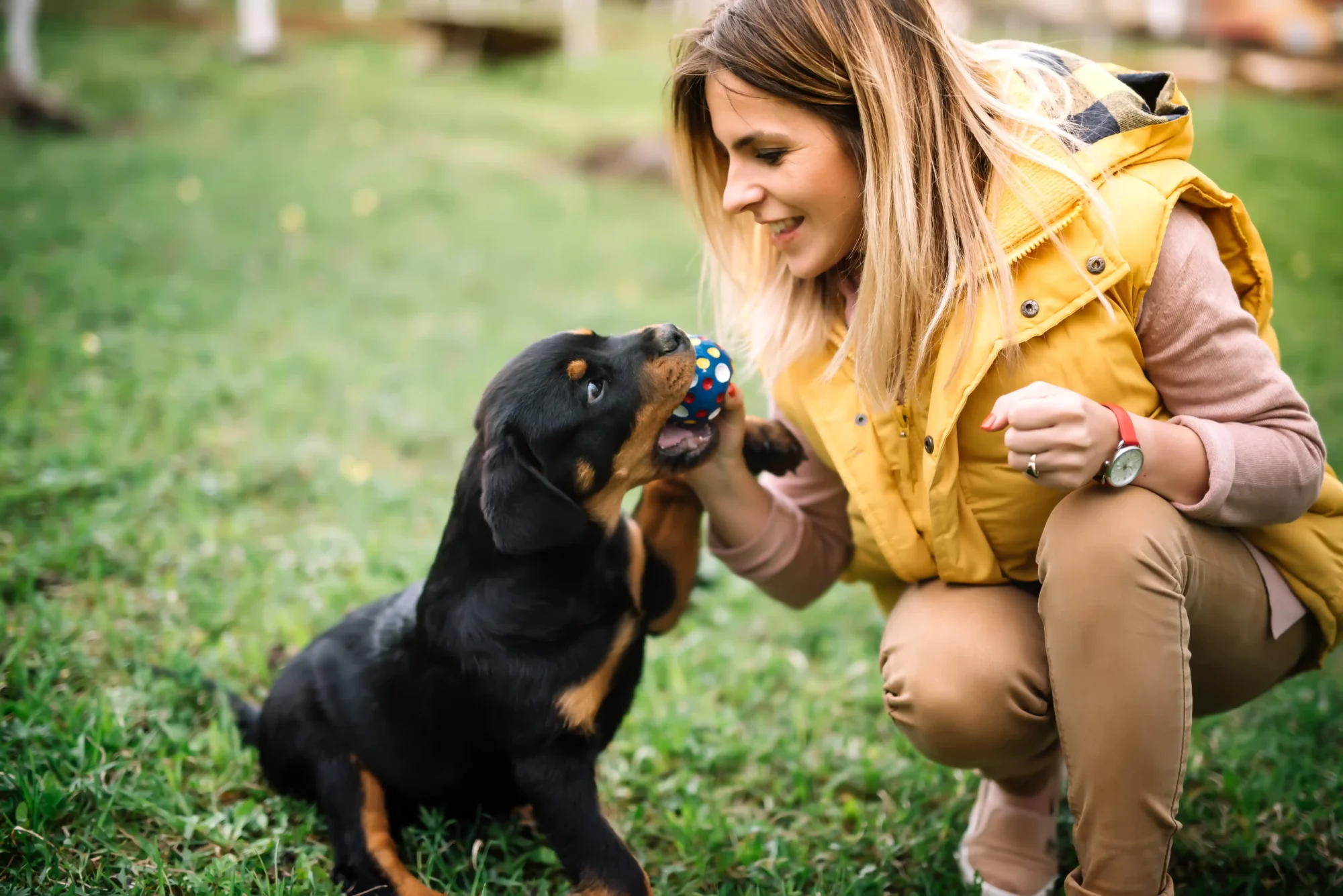 A woman playing with a dog outside